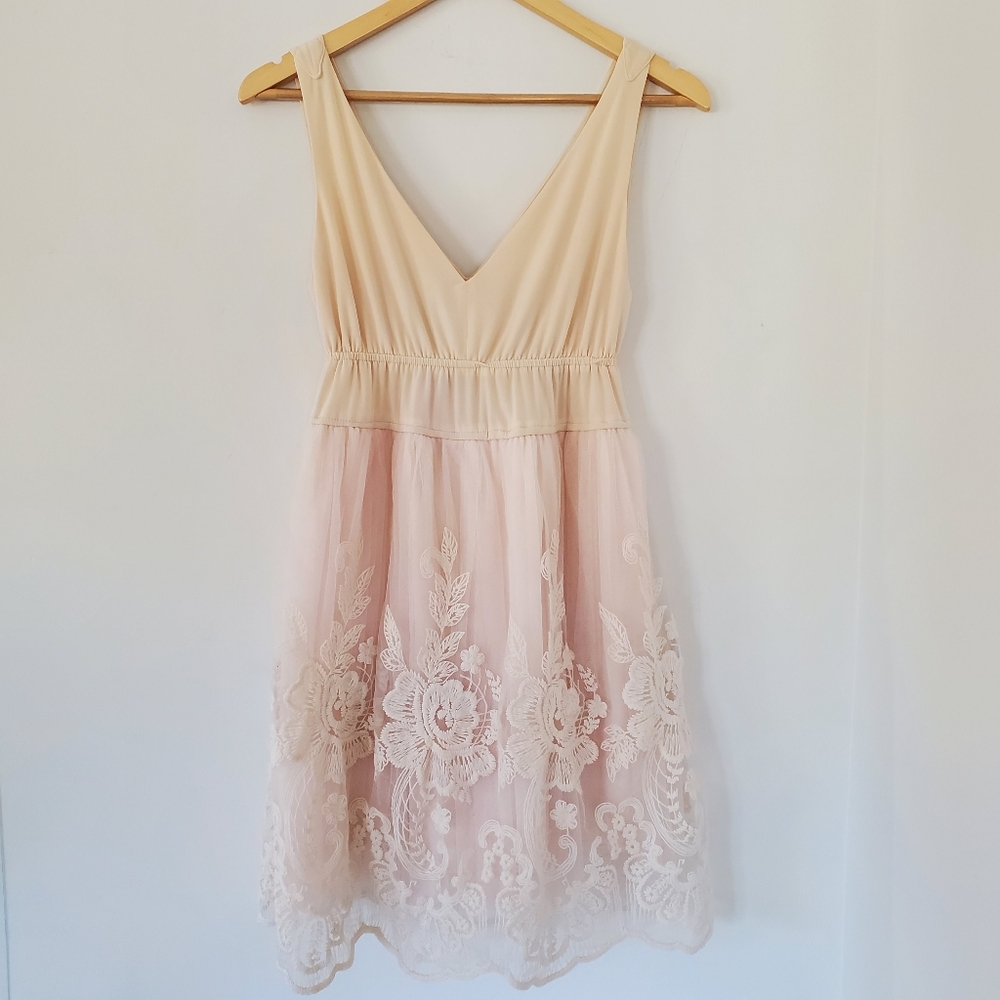 PINKY Sz S Light Cream Lace Mesh Dress Embroidered Babydoll Fairy Punk Whimsy